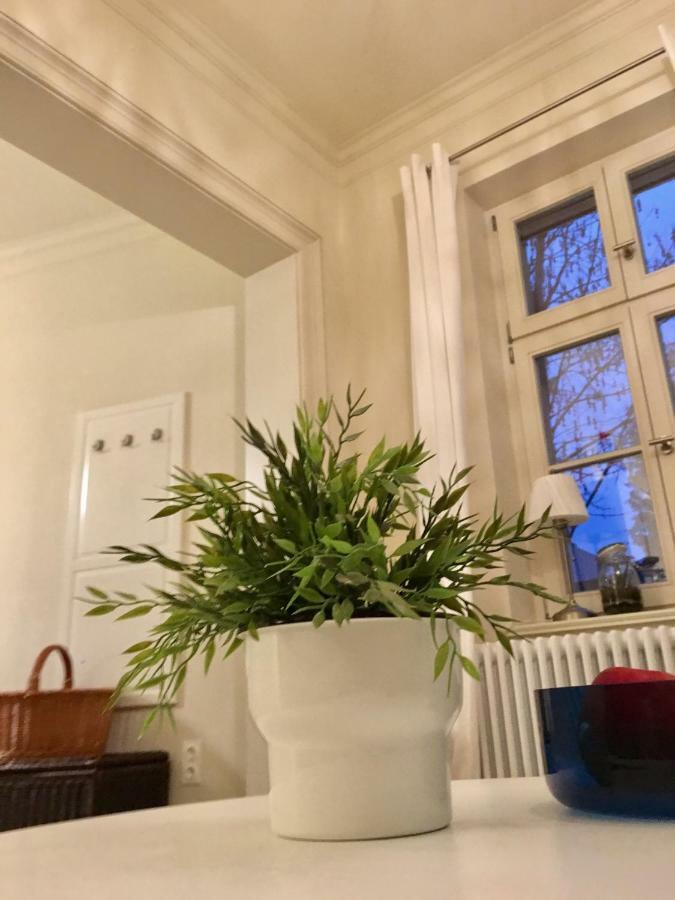Jethon Studio-Appartement Im Gruenen Bernburg Εξωτερικό φωτογραφία